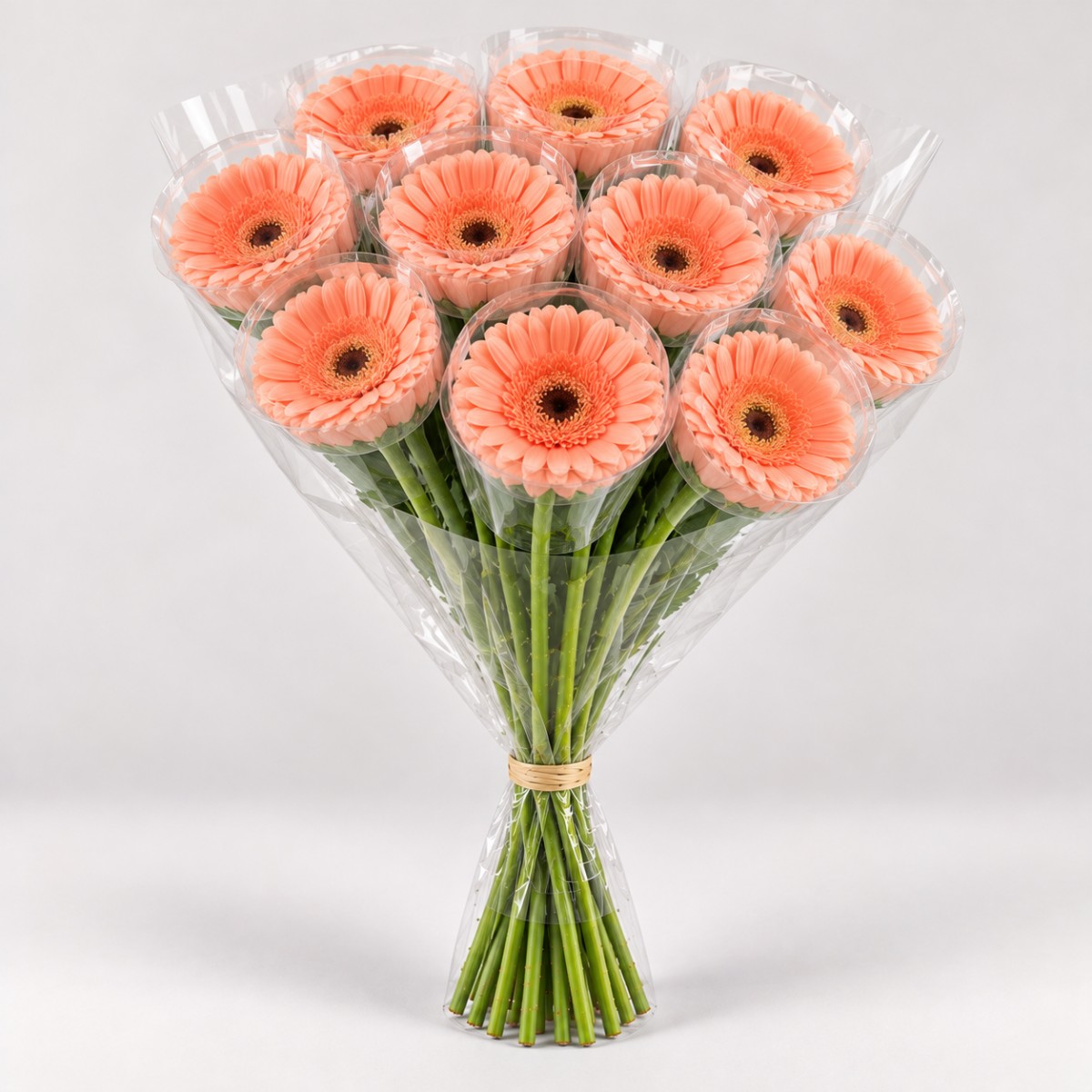 Gerbera Somon 50 Cm / Ge Mi Mickey